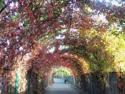 Botanical Garden Yerevan Botanical Gardens Yerevan Yerevan Armenia