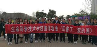 Image result for åŽ‰å®³äº†æ١çš„å›½