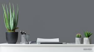 Make remote work more fun, with zoom backgrounds from ambition. Free Zoom Virtual Backgrounds Design Pickle