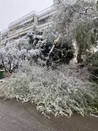 Εθνικής αντίστασης 8, άλιμος, 17456, ελλάδα. H Mhdeia Se 33 Fwtografies Kai Video Sta Notia Proastia Ths A8hnas Vima Online