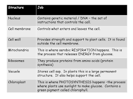 Check spelling or type a new query. Cells Ppt Download