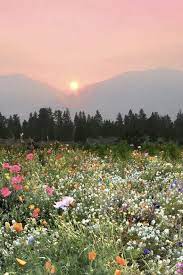 Rugged volcanic peaks, narrow valleys, mountain streams with waterfalls and cascades, lakes, and beaches of small stones. Sunset Moments And Wild Flower Fields
