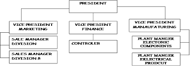 What Is Formal Organization Definition And Characteristics