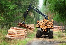 If the decedent was carrying a cost basis, for the timber, then you would not have a zero basis, and would be allowed a step up to market value, which would result in no capital gain. Licensed Timber Buyers In Central Il Good Forest Timber Company