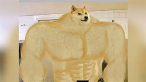 1080x1080 Meme Dog Drone Fest | see more hd wallpapers, 3d hd wallpaper love, colorful hd wallpaper stormtrooper, dangerous full hd wallpaper, crazy wallpapers hd 1920x1080, best windows hd wallpaper.