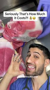 Benefits of Synthetic Cadavers in Medical Education