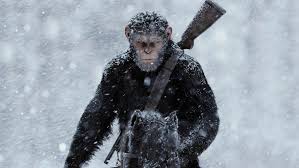 The apes didn't start the war with humankind. War For The Planet Of The Apes Hd Wallpapers 7wallpapers Net