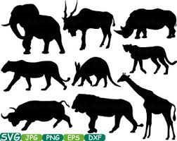 Download Zoo Animals Svg Free