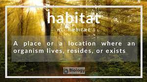 Habitat includes areas with existing attributes that have the capacity to support individuals of the species. Habitat Definition And Examples Biology Online Dictionary