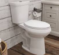 Glacier Bay Toilet Dual Flush Button