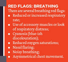 Image result for Fever Without Focus Red Flags