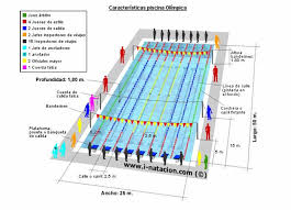 Piscina Olimpica Medidas Google Search Piscina Olimpica Piscina Piscinas