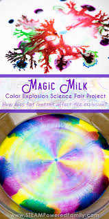 The kids will want to do this experiment over and over again, it is just so fascinating to watch the swirling effects of colour. Color Explosion Magic Milk Experiment And Science Fair Project