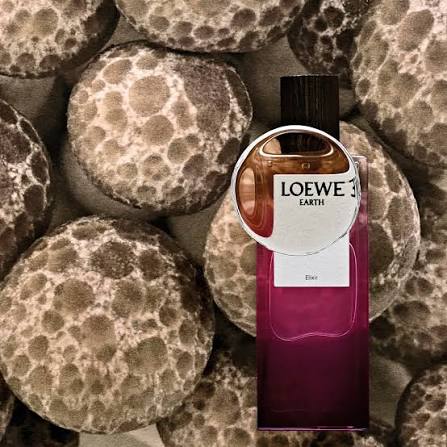 mejores colonias de Loewe para mujer