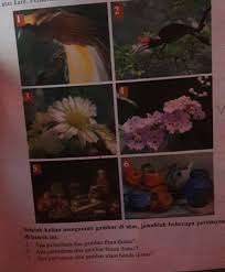 Jawaban seni budaya kelas 8 halaman 144 brainly. Brainly Sbk Kelas 7 Masnurul