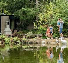 At this cottage, guests have access to features like an arcade/game room. Center Parcs Terhills Resort In Dilsen Stokkem Belgie