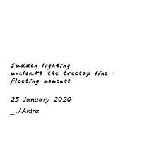 Pin On The Stargazing Frog 2020
