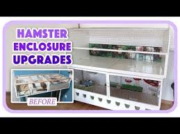 erinsanimals youtube large hamster cages hamster cage hamster
