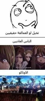 نكت تحشيش انمي شكلي بالانمي 1 Otaku Funny Funny Study Quotes Fun Quotes Funny