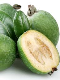 Image result for Feijoa sellowiana