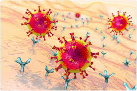 What are the most important side effects and. The Use Of Rheumatoid Arthritis Drug Sarilumab In Severe Covid 19 Pneumonia