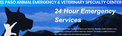 We take their healthiness seriously. El Paso Animal Emergency Center West Reviews Veterinarians At 5500 N Desert Blvd El Paso Tx