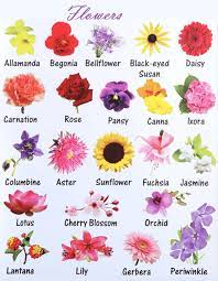Learn English Vocabulary Through Pictures Flowers And Plants Eslbuzz Learning English English Flowers English Vocabulary Learn English Vocabulary