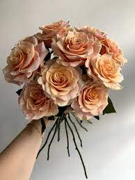 Pin On Roses At Potomac Floral Wholesale