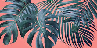 See more ideas about aesthetic iphone wallpaper, aesthetic wallpapers, mood wallpaper. Pin On Leaf