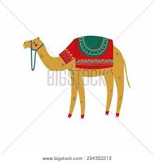 Learn the definition of 'a camel saddle'. Camel Saddle On Back Vector Photo Free Trial Bigstock
