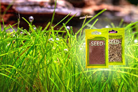 Amazon.Com : 50 Seeds Dwarf Hairgrass Seeds Aquarium Or Pond Grass Jocdw ( Seeds) : Patio, Lawn & Garden