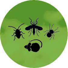 The average salary for a pest control technician is $40,700 per year in edmond, ok. 69 Initial Pest Control Exterminator Services In Oklahoma City Okc