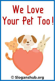 Check spelling or type a new query. 47 Creative Pet Shop Slogans And Taglines Pet Shop Pets Love Pet
