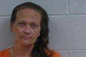 Adrienne Gary — Polk County Jail Bookings