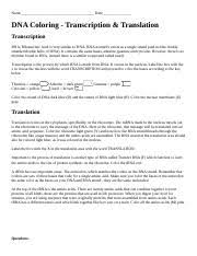 1 each dna molecule has two sides one is called the template from which the mrna is constructed by rna transcription and translation coloring pages beautiful cell coloring. Dna Coloring Transcription And Translation Answer Key Transcription And Translation Worksheet Answer Ibosome Ribosome Then Moves To The 3 Codon Course Hero