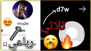 الحصول على يوزر رباعي و ثلاثي تيك توك و انستا youtube