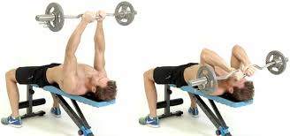 Maybe you would like to learn more about one of these? The Best Arms Workouts For Building Mass Legion Athletics