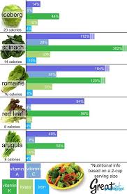 green salad calories chart graph infographics graphs net