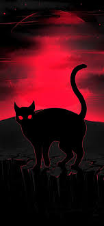 Here are only the best 4k dark wallpapers. Black Cat Amoled Wallpaper 1080 2340 4k Best Of Wallpapers For Andriod And Ios