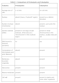 What is cell theory in biology. Cell Theory