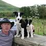 Joyce Country Sheepdogs from www.connemaraireland.com
