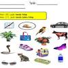 Science notes for year 5 pupils. 1