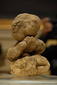 White Truffle Olive Oil Evoo Marketplace Colorado S Original Olive Oil Aged Balsamic Sampling Room Denver Littleton Aspen Truffles White Truffle Stuffed Mushrooms