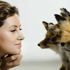 The Cunning Little Vixen