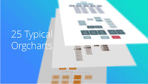 25 Typical Orgcharts Complex Organisational Structure With