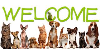 Check spelling or type a new query. Pet Food Supply Store Melbourne Fl Wags And Purrs Specialty Pantry