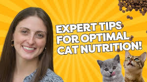 Dr. Lisa Weeth: Managing Pet Obesity