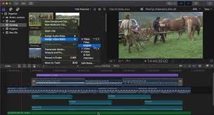 Apple Final Cut Pro X 10 4 Workflow Editing