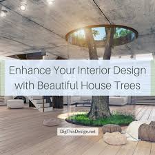 Interiors across the globe take design cues from midcentury modern style. Enhance Your Interior Design With Beautiful House Trees Dig This Design