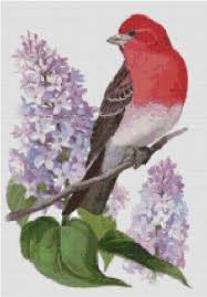We did not find results for: Wyoming State Bird And Flower Indian Paintbrush And Western Meadowlark Counted Cross Stitch Pattern Cross Stitch Arts Crafts Sewing Sek Pro De